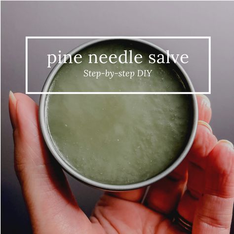 Making my own pine needle salve… Herbal Salve Recipes, Homemade Salve, Witch Kitchen, Herbal Medicine Recipes, Diy Herbal Remedies, Salve Recipes, Herbal Remedies Recipes, Medicinal Herbs Garden, Herbal Salves