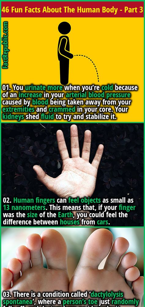 Human Finger, Fact Republic, Doctor Advice, Human Body Parts, Health And Fitness Magazine, Healthy Diet Tips, Natural Cough Remedies, Daily Health Tips, Lower Blood Sugar