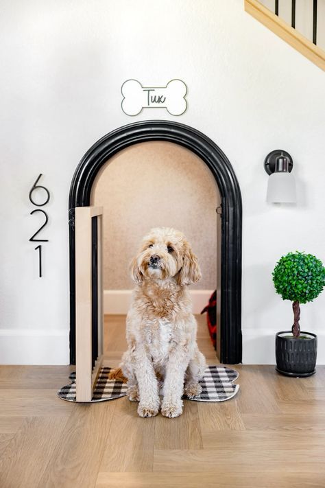 Built In Pet Space, Dog Stuff In House, Cozy Pet Corner, Dog Features In House, Diy Dog Closet Ideas, Dog House Decorating Ideas, Dog Corner Aesthetic, Dog Lounge Area, Dog Area In House