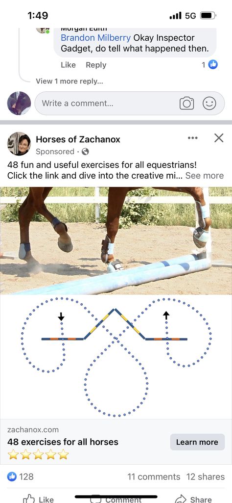 Groundwork Exercises For Horses, Horse Pole Exercises, Polework Exercises Horse, Pole Work For Horses, Barrel Racing Exercises, Horsemanship Patterns, Horse Jumping Exercises, Riding Ideas, Horse Training Exercises