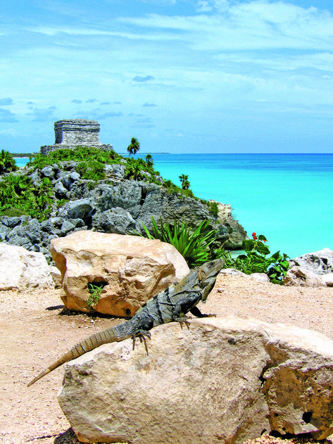 Friend posing in front of the Mayan Ruins by the beach in Tulum. Best program ever! #LiveItToBelieveIt #VisitMexico #Tulum #Maya #mexico Travel Tulum, Rivera Maya Mexico, Mexico Pictures, Tulum Ruins, Tulum Beach, Visit Mexico, Mayan Ruins, Mexico Vacation, Tulum Mexico