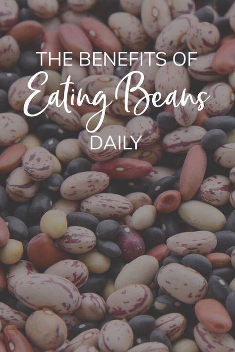 The benefits of eating beans pinterest How To Eat More Beans, Beans Benefits Health, Bean Benefits, How To Incorporate Beans Into Diet, Beans Where They Shouldnt Be, Benefits Of Beans, Eat More Beans, Beans Benefits, Soak Beans