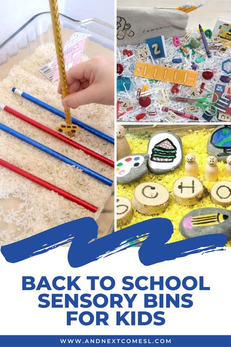 School Sensory Bin, Back To School Sensory Bin, Back To School Sensory, Sensory Bins For Toddlers, Sensory Bin Ideas, Indoor Toddler Activity, Beginning Of Kindergarten, Sensory Tub, Halloween Sensory