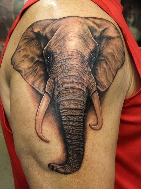 Cute Little Elephant Tattoos Arm Elephant Tattoo, Realistic Elephant Tattoo, Elephant Head Tattoo, Elephant Tattoo Meaning, Tier Tattoo, Elephant Tattoo Design, Elephant Face, Elephant Tattoo, Face Tattoos