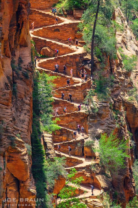 Angels Landing Zion National Park, Angels Landing Zion, Zion Utah, Utah National Parks Road Trip, Utah Vacation, Utah Adventures, Utah Road Trip, Zion National Park Utah, Angels Landing