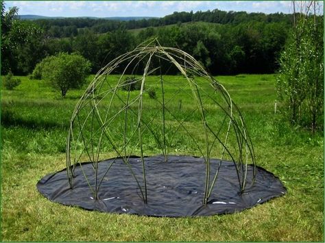 creating living willow structures, with michael dodge Living Willow Structures, Willow Dome, Willow Structures, Willow Fence, Living Willow, Willow House, Willow Weaving, Sensory Garden, Natural Playground