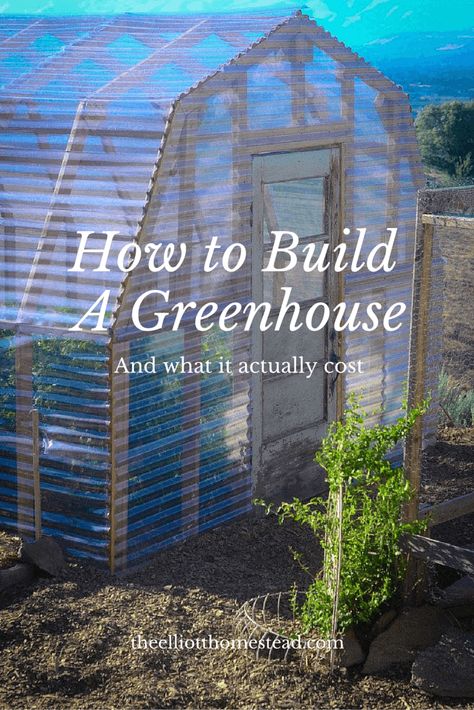 Homemade Greenhouse, Greenhouse Farming, Diy Greenhouse Plans, Outdoor Greenhouse, Build A Greenhouse, Home Greenhouse, Greenhouse Ideas, Backyard Greenhouse, Greenhouse Plans