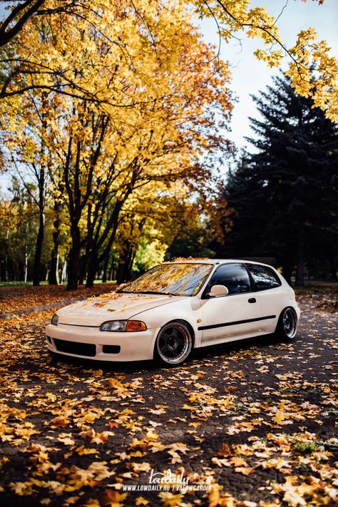 Honda Civic Hatchback Wallpapers, Eg Civic Hatchback, Eg Hatchback Wallpaper, Honda Civic Eg Hatchback Wallpaper, Civic Eg Wallpaper, Honda Civic Aesthetic, Eg6 Civic, Honda Civic Wallpaper, Civic Estilo