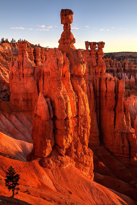 https://flic.kr/p/kLR2f6 | In The Shadow Of Giants | In The Shadow Of Giants   Thor's Hammer  Bryce Canyon National Park  Utah Easy Jet, Thor's Hammer, Utah Photography, Bryce Canyon National Park, Utah National Parks, Bryce Canyon, Rock Formations, Zion National Park, Road Trip Usa