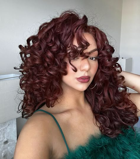 30 Hot Mahogany Hair Color Ideas for 2024 - Hair Adviser Pink Hair Indian Skin, Cherry Coke Hair Curly, Red Curly Hair Highlights, Dark Cherry Red Hair Curly, Curly Hair Color Ideas Red, Cherry Curly Hair, Hair Colour Curly Hair, Red Hair Color Curly, Dark Red Hair Curly