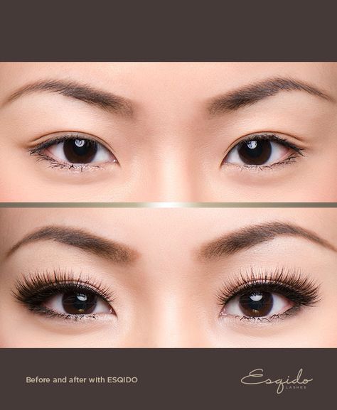 Mascara Tricks, Mink Eyelash Extensions, Diy Eyelash Extensions, Black Lashes, Mascara Tips, How To Apply Mascara, Long Lashes, Asian Makeup, Natural Lashes