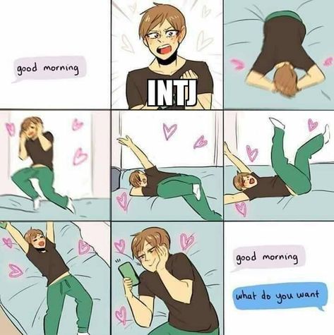 The secret life of an INTJ Infj And Entp, Entp And Intj, Intj Humor, Intj Enfp, Entp Personality Type, Intj Women, Crush Texts, Enfp Personality, Intj T