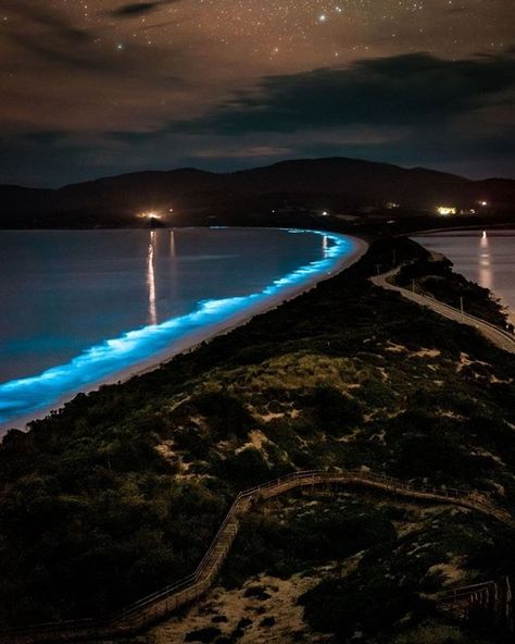 Bioluminescence at 'The Neck' Bruny Island Tasmania Australia. Artsy Beach Pictures, Tumblr Beach Pictures, Tahiti Travel, Summer Beach Pictures, Lanai Island, Tropical Islands Paradise, Bruny Island, South Pacific Islands, Jamaica Vacation