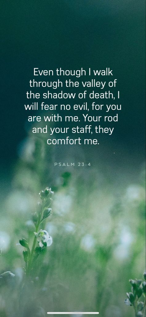 Psalms 23:4 Wallpaper, Psalm 23 4 Wallpaper, Psalm 23:4, Bible Blessings, Psalms 23 4, Beautiful Scriptures, Joy In The Morning, Psalms 23, Biblical Scriptures