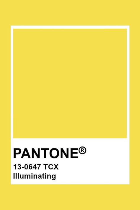 Pantone Mustard, Mustard Yellow Pantone, Pantone Colors Yellow, Light Yellow Pantone, Pantone Giallo, Pantone Yellow Shades, Yellow Orange Pantone, Lemon Yellow Pantone, Pantone Shade Card