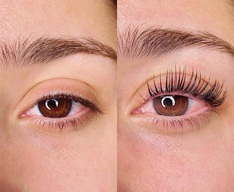 Eyelash Tint And Lift Before And After, Eye Lash Lift And Tint, Lash Lifts Before And After, Keratin Lash Lift Before And After, Lash Lift And Tint Price List, Eyelash Lift Before And After, Lash Perm Before And After, Lash Lift And Tint Before And After, Lash Lift Before And After