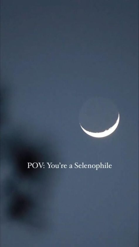 Selenophilia Aesthetic, Dark Study Wallpaper Aesthetic, Moon Quotes Video, Moon Vibes Aesthetic, Selenophile Aesthetic, Moon Aesthetic Video, Moon Clips, Moon Status, Moon Videos