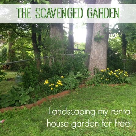 The Scavenged Garden: Landscaping a rental home yard for free #rental #landscaping #gardening #rentaldecorating Rental Garden Ideas, Window Flower Boxes, Vintage Bedroom Decor, Window Box Flowers, Easy Landscaping, Large Yard, Rental Decorating, Vintage Bedroom, Side Yard