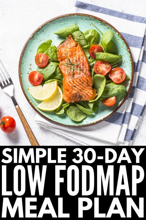 30-Day Low FODMAP Meal Plan for Beginners | If you’re looking for a simple guide to help you get started – and stay motivated – with the Low FODMAP diet, we’ve curated 30 days of breakfast, lunch, dinner, snack, and dessert recipes. With 120 easy Low FODMAP recipes to choose from, there are ideas to suit every palette and dietary need, including gluten free, vegetarian, and vegan recipes. We’ve even thrown in some crockpot & instant pot ideas for added convenience! #lowfodmap #lowfodmaprecipes Ibs Meals, Instant Pot Ideas, Low Fodmap Meal Plan, Fodmap Dinner Recipes, Easy Low Fodmap Recipes, Fodmap Dinner, Gi Foods, Easy Low Fodmap, Stomach Diet