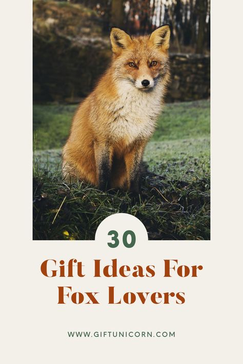 30 Gift Ideas For Fox Lovers Smart Animals, Fox Lover, Fox Gift, Experience Gifts, Cute Fox, Birthday Gift For Him, 30 Gifts, Travel Lover, The Fox