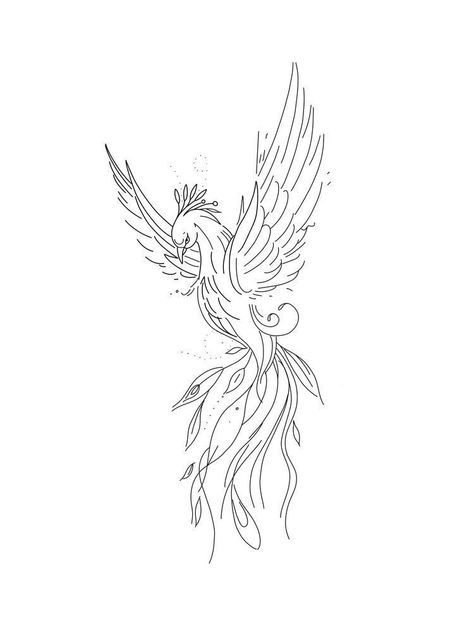 Phoenix Tattoo Linework, Linework Phoenix Tattoo, Phoenix Rising From The Ashes Tattoo, Phoenix Tattoo Fine Line, Cendrawasih Art, Phoenix Outline Tattoo, Phoenix Minimalist Tattoo, Phoenix Line Tattoo, Phoenix Tattoo Minimalist