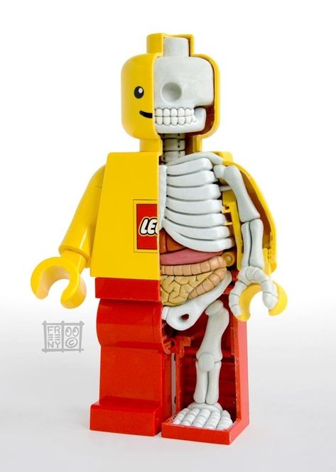 "Since 1961 … our private economy has produced 66 million private-sector jobs. So what's the jobs score? Republicans 24 million, Democrats 42 (million)." Lego Anatomy, Lego Hand, Armadura Ninja, Man Anatomy, Anatomy Sculpture, Lego Man, Lego Figures, Lego Minifigure, Toy Art