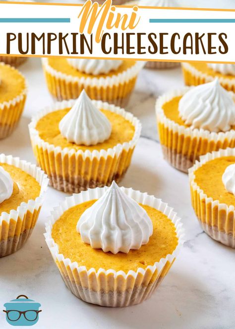 These Easy Mini Pumpkin Cheesecakes are delicious little individual bites of pumpkin-spiced cheesecakes with a graham cracker crust! Pumpkin Cheesecakes, The Novice Chef, Pumpkin Pie Spice Recipe, Novice Chef, Pie Spice Recipe, Mini Pumpkin Cheesecake, Pumpkin Pie Cheesecake, Mini Cheesecake Recipes, Pumpkin Cheesecake Recipes