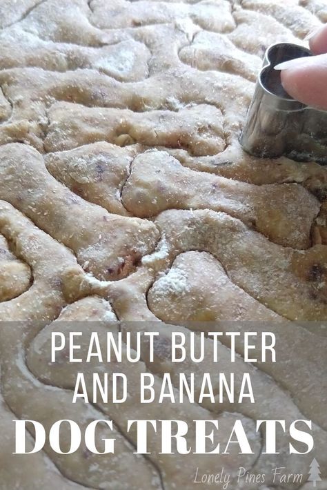 You eat healthily, so your dog should too! Here's our recipe for all-natural peanut butter and banana dog treats. They're his absolute favorite. Peanut Butter Banana Dog Treats, Banana Dog Treats, Peanut Butter Yogurt, Banana Treats, Peanut Butter And Banana, Homemade Peanut Butter, Dried Strawberries, Survival Food, Natural Peanut Butter