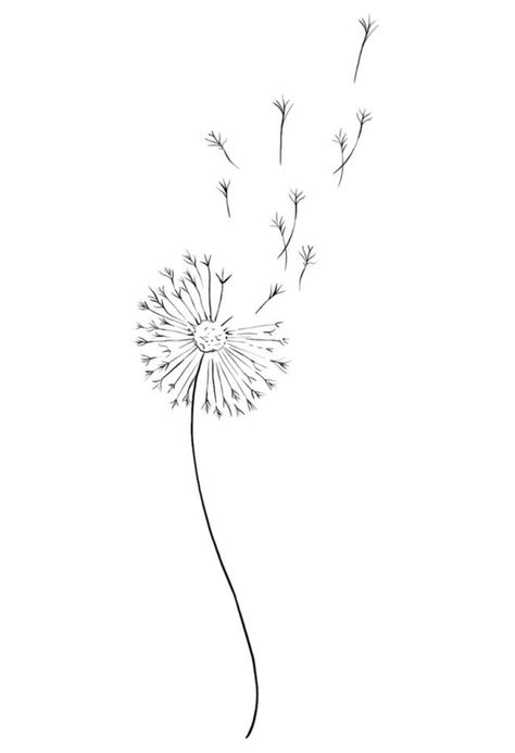 Drawing Of A Dandelion, Fineline Dandelion Tattoo, Dandelion Drawing Tattoo, Wishie Tattoo, Mini Dandelion Tattoo, Blowing Dandelion Tattoo Simple, Dandelion Art Drawing, Tattoo Ideas Dandelion, Dandelion Drawings