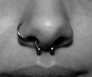 Smile Piercing, Piercings Nase, Orr Piercing, Piercing Bouche, Cute Nose Piercings, Septum Piercing Jewelry, Septum Piercings, Pretty Ear Piercings, Piercing Septum