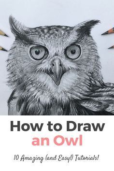 How to Draw an Owl Step by Step Easy. And Step by Step for Kids! The Best 10 Tutorials on How to Draw an Owl. Learn How to Draw an Owl with the Best Online Video Tutorials with acrylic, watercolor, pencils, charcoal and many more techniques! Draw an Owl on a Rock, on Wood and much more! They're very easy both for beginners, intermediate and advanced artists! Drawing ideas easy with pencils and more techniques! Owl Painting Acrylic, Owl Drawing Simple, Draw An Owl, Owl Sketch, Bird Painting Acrylic, Owl Watercolor, Owl Artwork, Pencil Drawings Of Animals, Owls Drawing