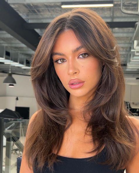 Caramel Highlights on Espresso long layers, 90s layered haircut with curtain bangs Rambut Brunette, Dark Brunette Hair, Brown Hair Looks, Brown Hair Inspo, Blowout Hair, 90s Hairstyles, Haircuts For Medium Hair, Hair Color And Cut, Haircuts For Long Hair