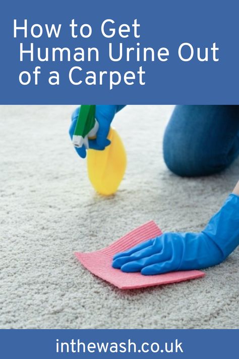 Learn how to get human urine out of a carpet with this complete step-by-step guide covering several cleaning techniques. Remove Urine Smell, Borax Cleaning, Pee Smell, Urine Odor, Removing Carpet, Urine Smells, Urine Stains, Cleaning Techniques, Accidents Happen