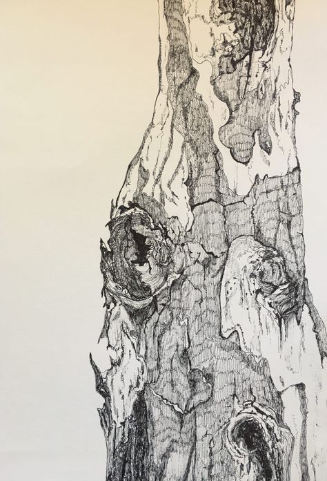 Tree Bark Drawing, Bark Drawing, Tree Bark Texture, Tree Drawings Pencil, Art Alevel, Tree Textures, Nature Sketch, Texture Drawing, Tree Sketches