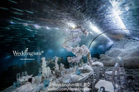 Aquarium Wedding – Weddingism Under The Sea Gala, Under The Sea Wedding Theme, Under The Sea Wedding, Sea Wedding Theme, Aquarium Wedding, Amazing Wedding Photos, Sea Wedding, The Aquarium, Under The Sea Party