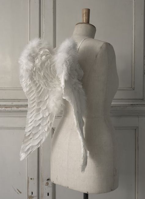 beautiful angel wings Angel Wings Halloween, Victoria Secret Wings, Diy Angel Wings, Angel Wings Costume, Vintage Dress Form, Diy Angels, Diy Wings, White Angel Wings, Angel Costume