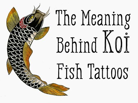 Koi Fish Tattoo Meaning—Color, Direction, and More Fish Tattoo Meaning, Koi Fish Tattoo Meaning, Coy Fish Tattoos, Koi Fish Tattoos, Koi Fish Colors, Carp Tattoo, Japanese Koi Fish Tattoo, Tato Ikan Koi, Nikko Hurtado