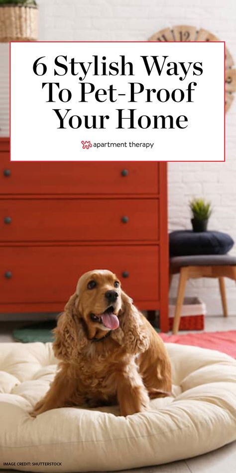 Here's how to pet-proof your home without compromising on design. #pets #petproof #petcare #petparenting #pettraining #petfriendly #designtips Dog Friendly Decor, Pet Friendly Home Design, Pet Friendly Home Ideas, Dog At Home Aesthetic, Dog Friendly Interior Design, Living Room Dog Area, Pet Friendly Apartment Ideas, Dog Friendly Home Design, Pet Friendly Living Room Ideas