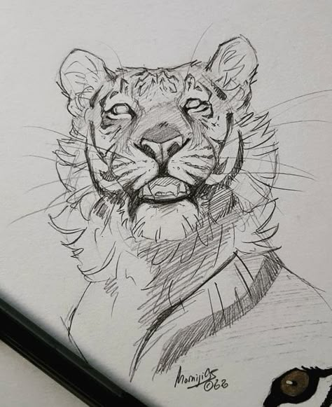 رسم كاريكاتير, Seni Pastel, Tiger Drawing, Animal Drawings Sketches, Drawing Eyes, 그림 낙서, 강아지 그림, Desen Anime, Tiger Art