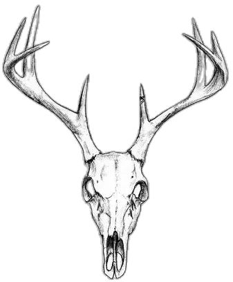 Deer Skull Drawing, Deer Antler Tattoo, Deer Skull Tattoo, Vegvisir Tattoo, Moose Skull, Easy Skull Drawings, Antler Tattoo, Deer Skull Tattoos, Hirsch Tattoo