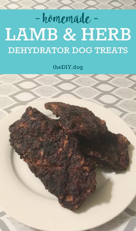 Treat the special pooch in your life to a delicious and healthy homemade treat with our new Lamb & Herb Jerky Dehydrator Dog Treat recipe. Dehydrator Dog Treats, Dog Cookie Recipes, Homemade Dog Cookies, Easy Dog Treat Recipes, Dog Treat Recipe, Dog Biscuits Homemade, Dog Biscuit Recipes, Easy Dog Treats, Healthy Dog Treat Recipes