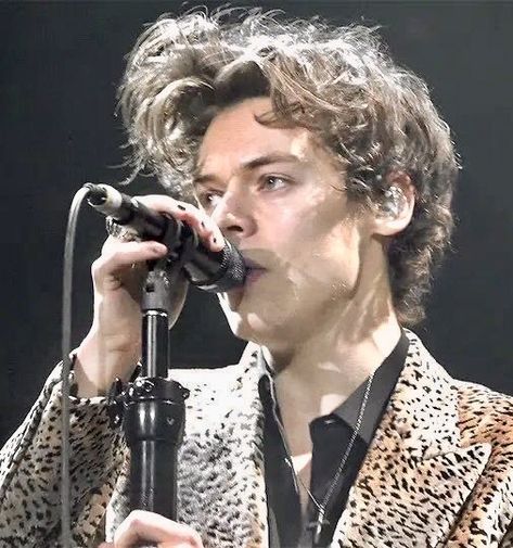 Live On Tour, Harry Styles Live, Harry Styles Pictures, Harry Styles Photos, Mr Style, H Style, Harry Edward Styles, Edward Styles, Style Profile