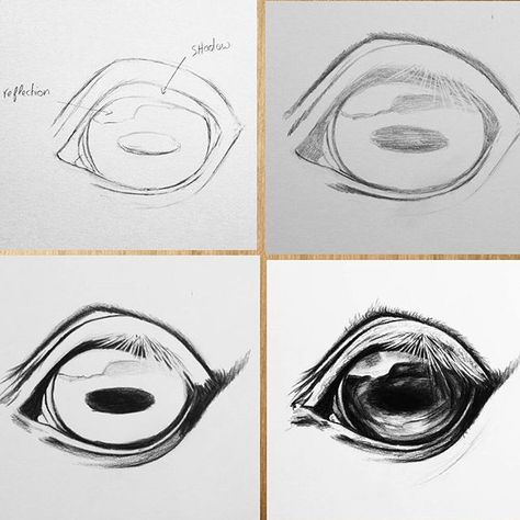 Comment dessiner un œil de cheval Drawing An Eye, Horse Drawing Tutorial, Horse Art Drawing, Rasy Koni, Horse Sketch, Horse Anatomy, Eye Drawing Tutorials, Nose Drawing, Horse Artwork