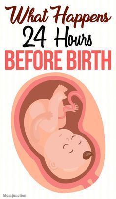 Baby In The Womb, 5 Weeks Pregnant, Pregnancy Hacks, Pregnancy Info, Pregnancy Information, Pumping Moms, Baby Sleep Problems, Mom Junction, Pregnancy Care