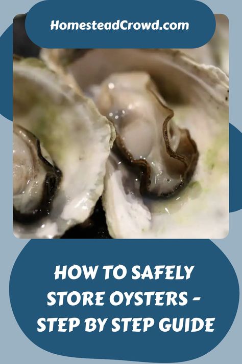 Learn how to safely store oysters with this step-by-step guide. Discover the proper methods for storing fresh oysters, shucked oysters, and frozen oysters. Canned Oysters, Cooked Oysters, Shucking Oysters, Panko Crumbs, Fresh Oysters, Freezer Bags, Oyster Bar, Beer Batter, Food Preservation