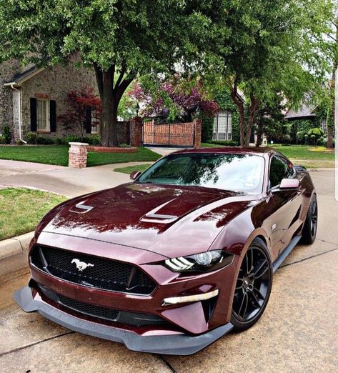 Sports Cars Mustang, Red Mustang, Mustang Car, Ford Mustang Car, 4 By 4, Toyota 4x4, Toyota 4, Mustang Cars, Fancy Cars