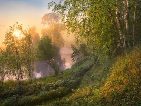 Morning Forest Aesthetic, Forest Morning, Morning Forest, Autumn Sky, Magical Forest, Wild And Free, Night Looks, The Net, Friends In Love