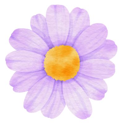 Flower Drawing Purple, Purple Colour Flowers, Purple Flowers White Background, Purple Flower Watercolor, Violet Flower Watercolor Paintings, Purple Flowers Clipart, Flower Clip Art, Flower Cut Out, Flowers Drawing