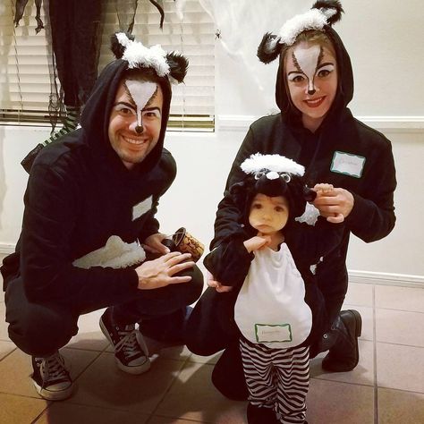 Inspiration & Accessories: DIY Skunk Halloween Family Costume Idea - A little skunk action for Arabella's 2nd but 1st Halloween fun #halloween2017 #familyfun #skunkcostume #montrose #trickortreat #costume Skunk Family Costume Ideas, Skunk Family Costume, Skunk Diy Costume, Skunk Makeup Halloween, Baby Skunk Costume Diy, Diy Skunk Costume, Baby Skunk Costume, Skunk Halloween, Funny Family Costumes