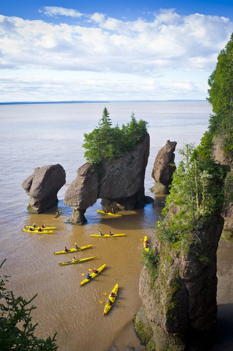 Explore New Brunswick, Canada Hopewell Rocks, Fundy National Park, Bay Of Fundy, Single Travel, East Coast Travel, New Brunswick Canada, Travel Canada, Atlantic Canada, Sea Kayaking